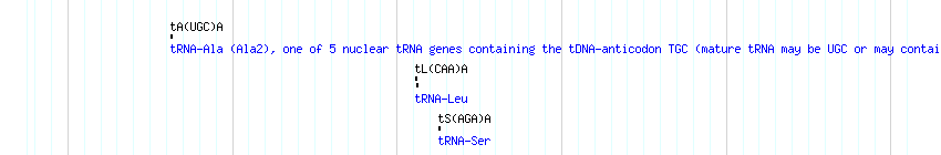 tRNAs detail