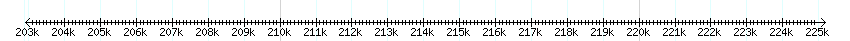 __scale__ detail