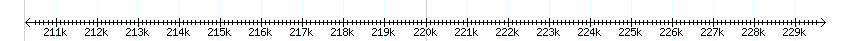 __scale__ detail