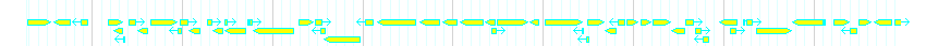 Genes detail