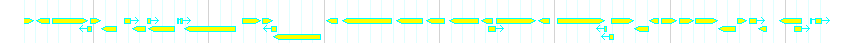Genes detail