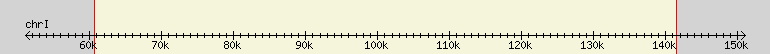 __scale__ region