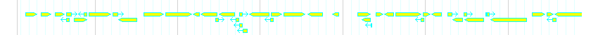 Genes detail