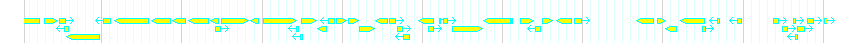 Genes detail