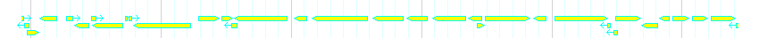 Genes detail