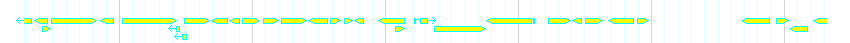 Genes detail