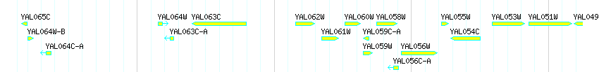 Genes detail