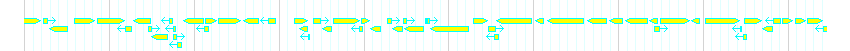 Genes detail