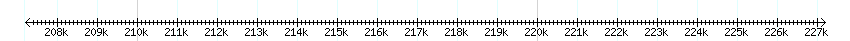 __scale__ detail