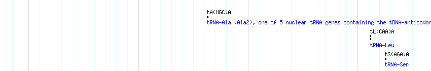 tRNAs detail