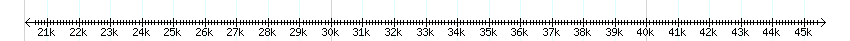 __scale__ detail