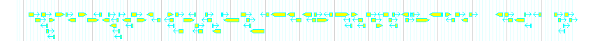 Genes detail