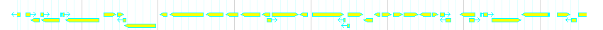 Genes detail
