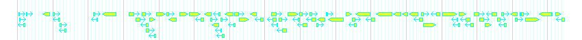 Genes detail
