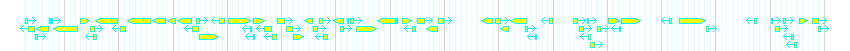 Genes detail