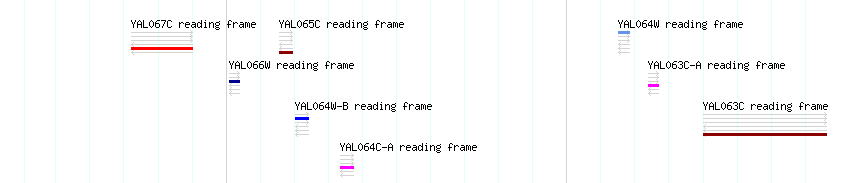 CDS detail