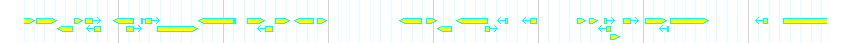 Genes detail