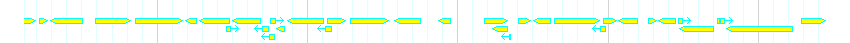 Genes detail