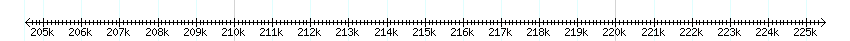 __scale__ detail