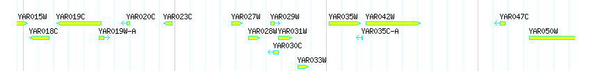 Genes detail