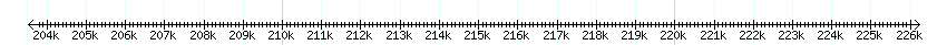 __scale__ detail