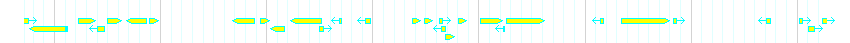Genes detail