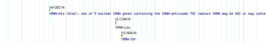 tRNAs detail