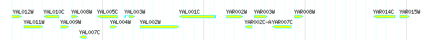 Genes detail