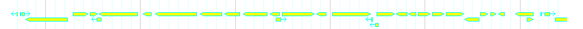 Genes detail