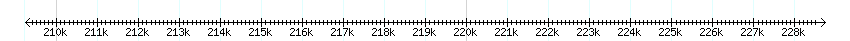 __scale__ detail