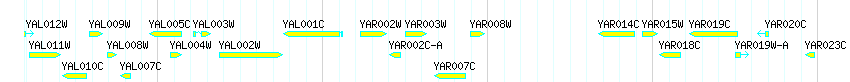 Genes detail