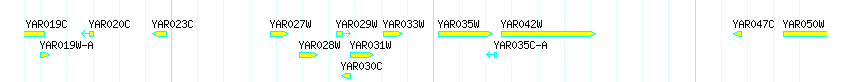 Genes detail