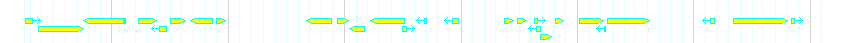 Genes detail