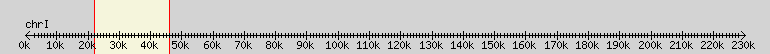 __scale__ overview