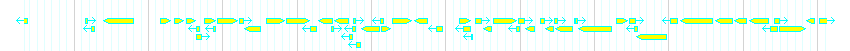 Genes detail