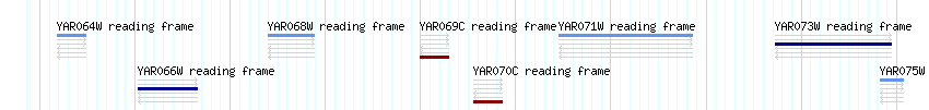 CDS detail