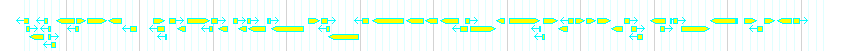 Genes detail