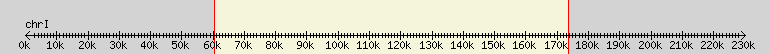 __scale__ overview