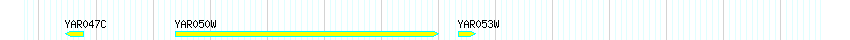 Genes detail
