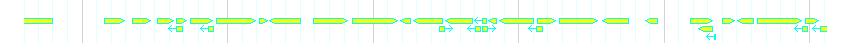 Genes detail