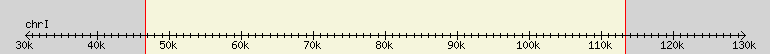 __scale__ region