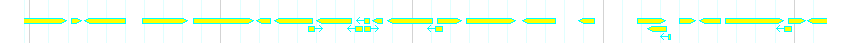 Genes detail