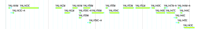 Genes detail