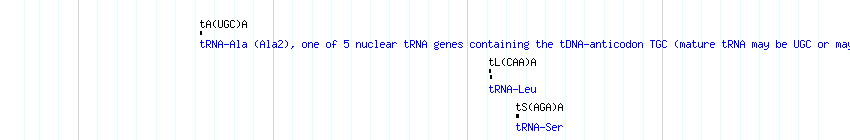 tRNAs detail