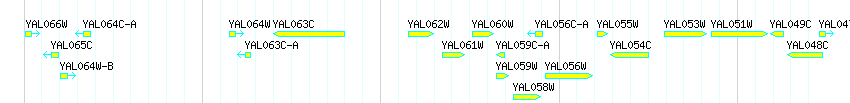 Genes detail
