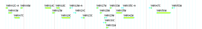 Genes detail