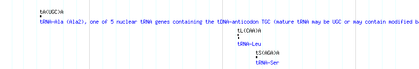 tRNAs detail