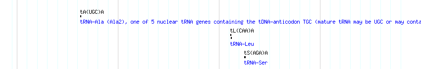 tRNAs detail