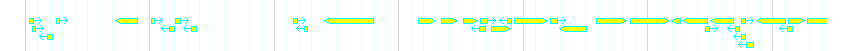 Genes detail