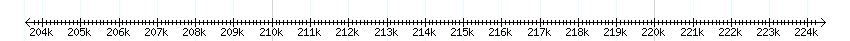 __scale__ detail
